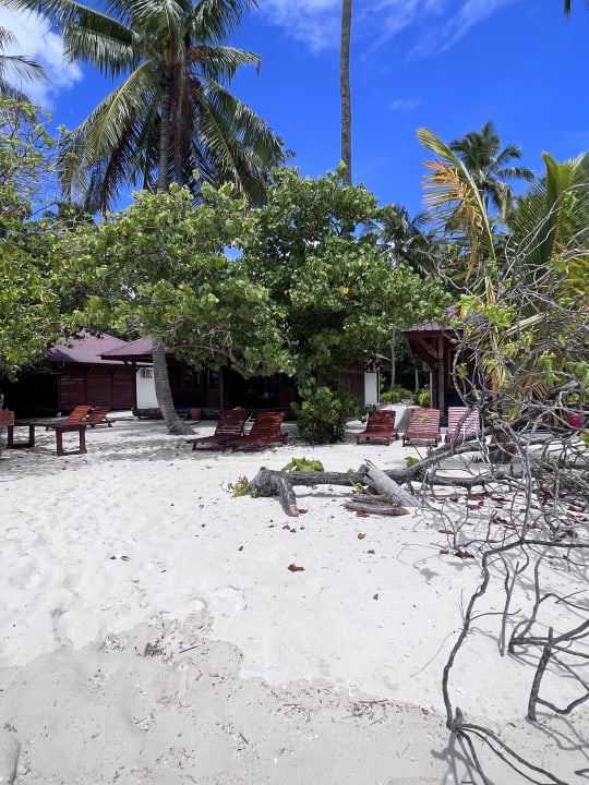 Gartenanlage Filitheyo Island Resort