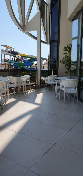 Gastro Seashell Vega