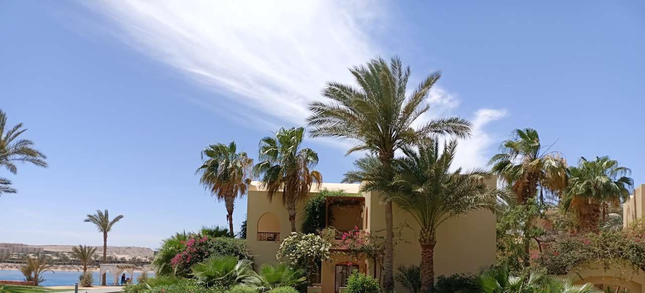 Ausblick Steigenberger Coraya Beach - Adults only