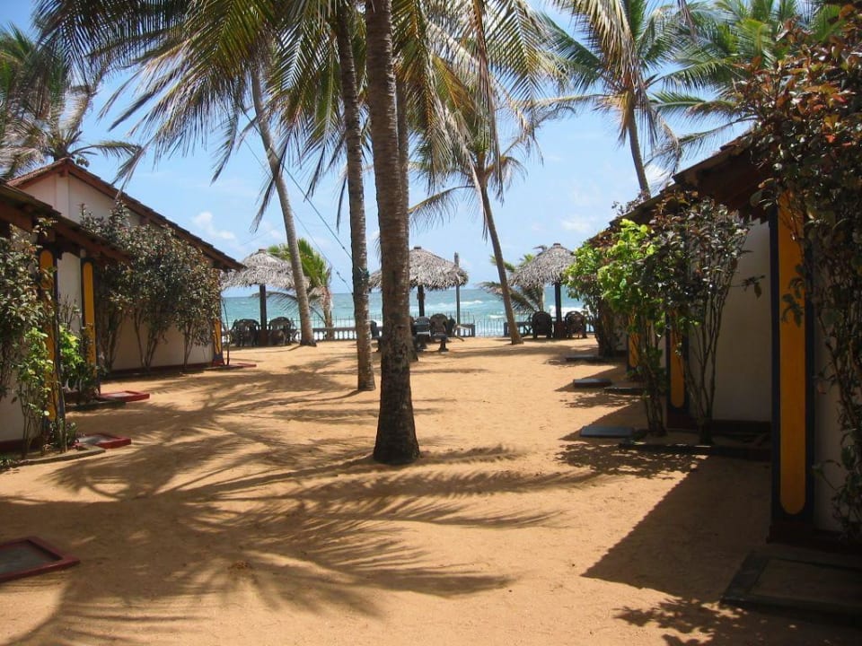 Hotel beach Hotel Blue Note