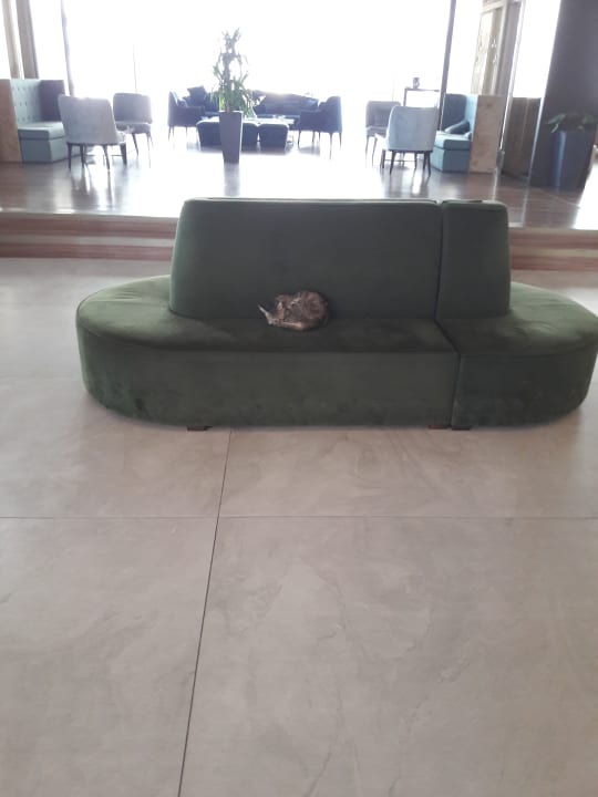 Sonstiges Riolavitas Resort & Spa