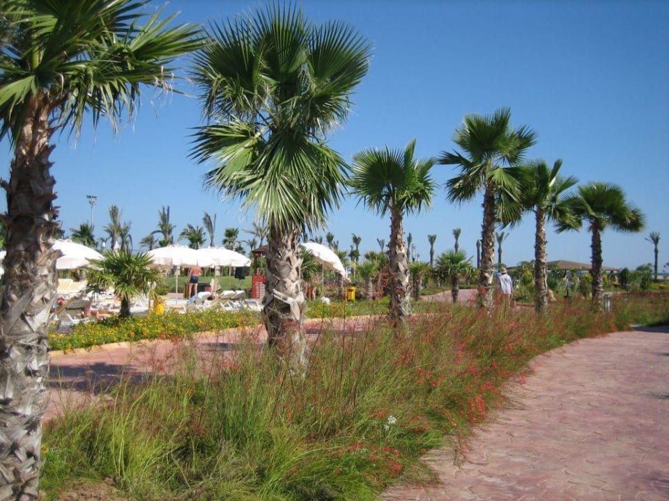 Teil einer Parkanlage Hotel Miracle Resort