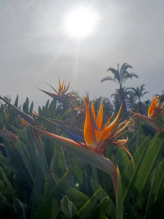 Außenansicht Sunis Kumköy Beach Resort Hotel & Spa