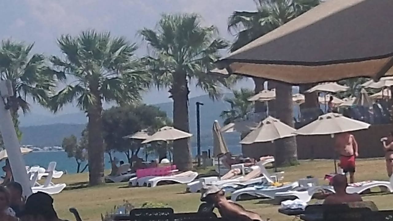 Garten Liegeplätze mit Blick aufs Meer Duja Didim Hotel