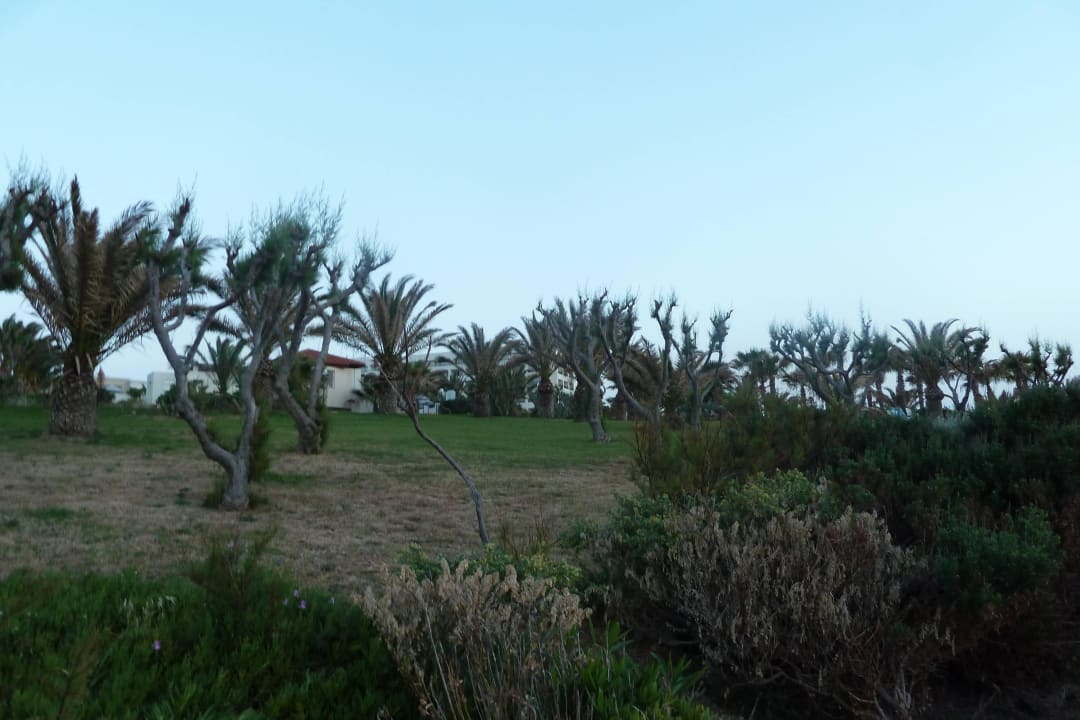 Garten7 Iberostar Waves Creta Panorama & Mare
