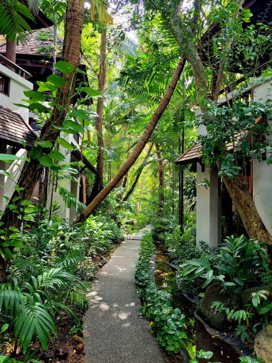 Gartenanlage Muang Samui Spa Resort