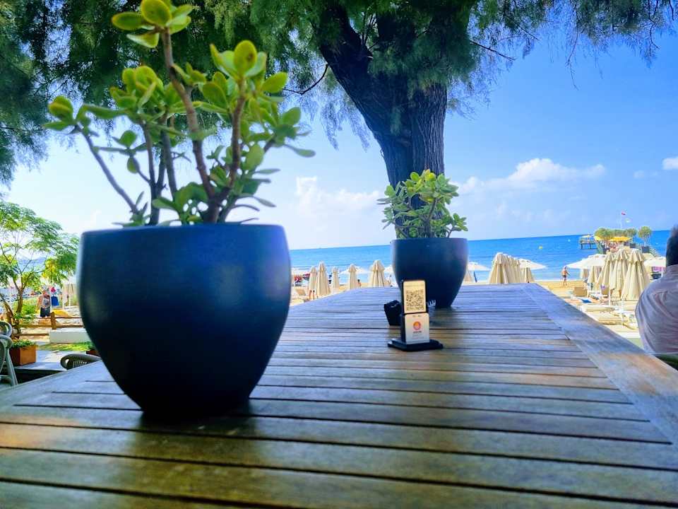 Sonstiges Arum Barut Collection