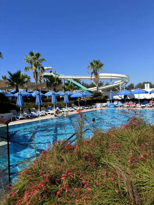 Pool Sentido Trendy Verbena Beach