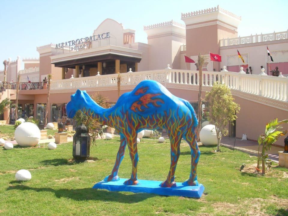 Von Vorne Pickalbatros Palace Resort