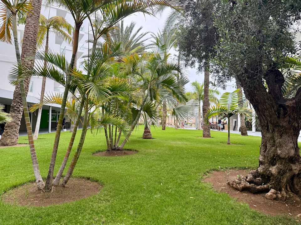Gartenanlage Hotel Riu Papayas
