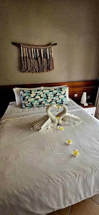 Zimmer Friday Attitude