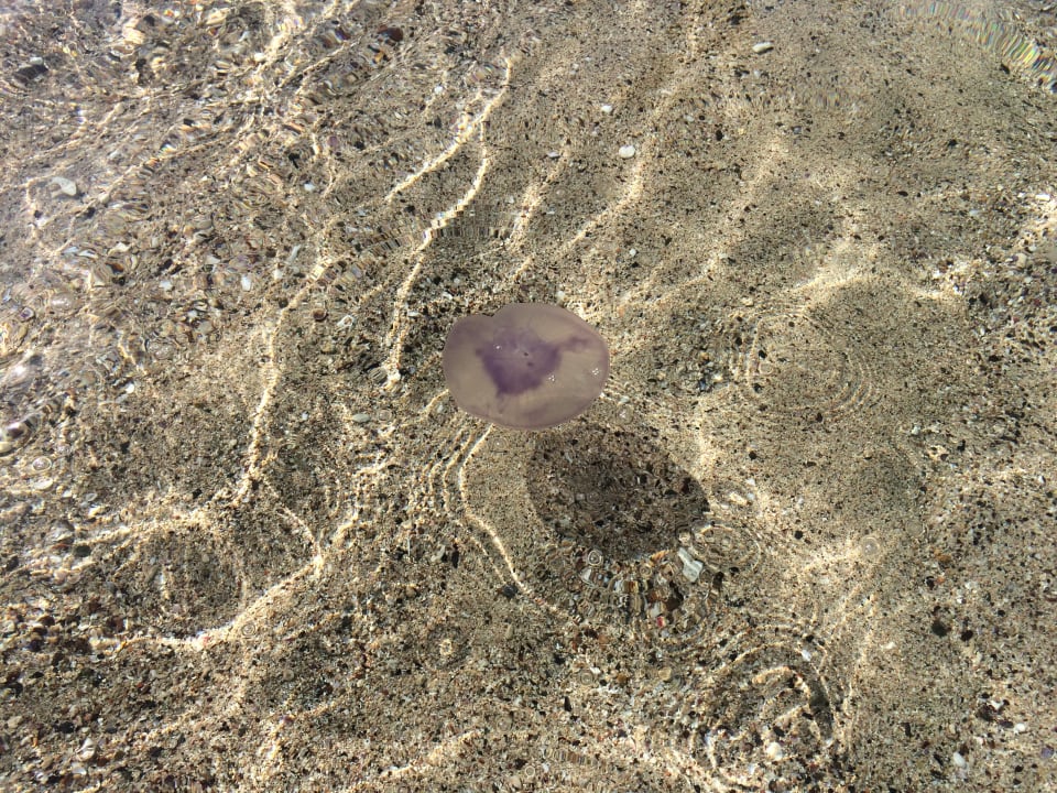 Strand Three Corners Sea Beach Resort