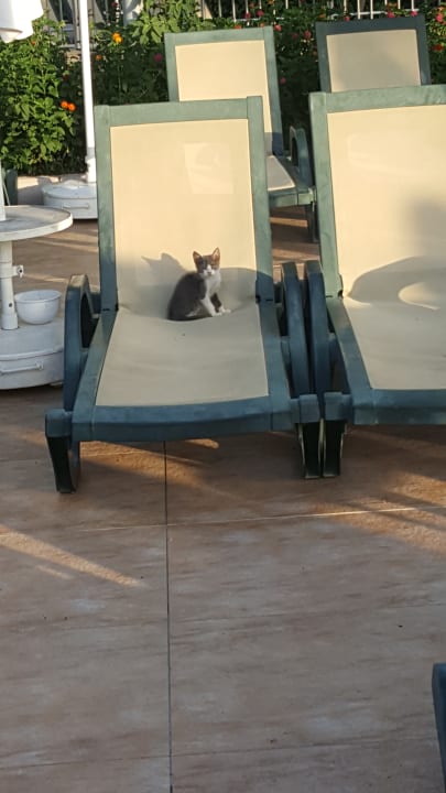 Ausblick Hane Family Resort