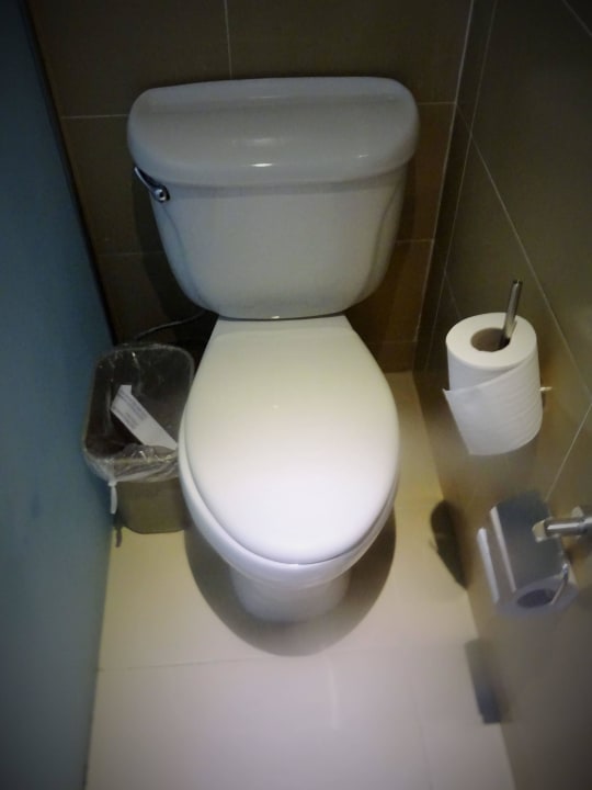 Sehr geräumiges Klo Punta Cana Princess All Suites Resort & Spa