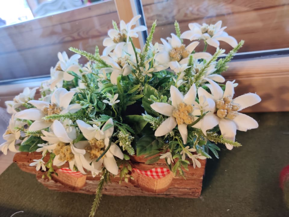 Gartenanlage Bauernhof Haus Waldesruh