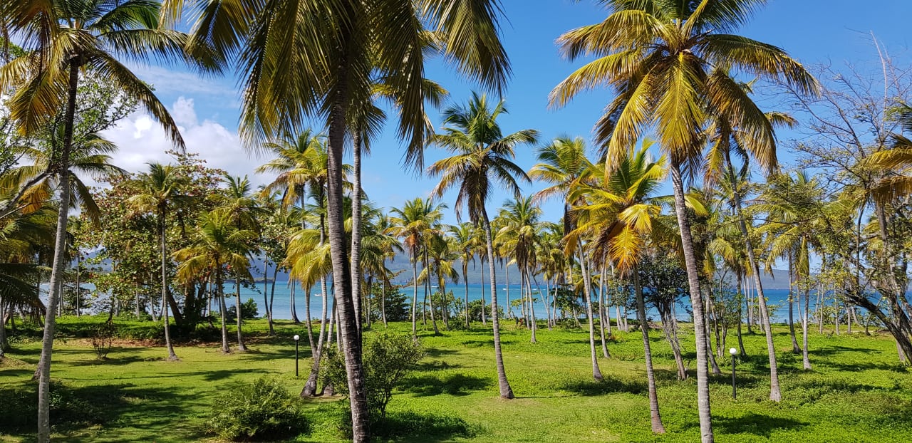 Garten Wyndham Alltra Samana