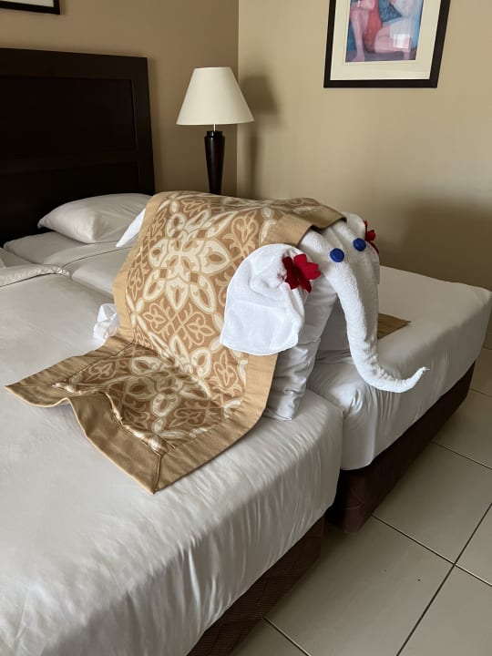 Zimmer Jaz Dar EL Madina