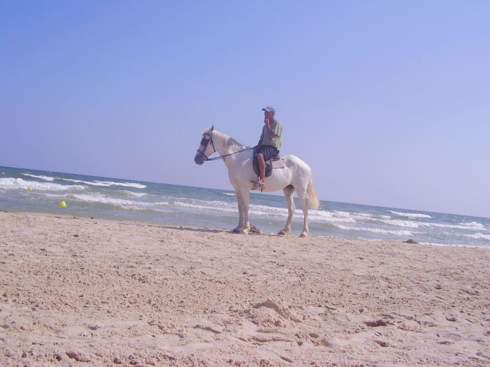 plage Calimera One Resort Jockey