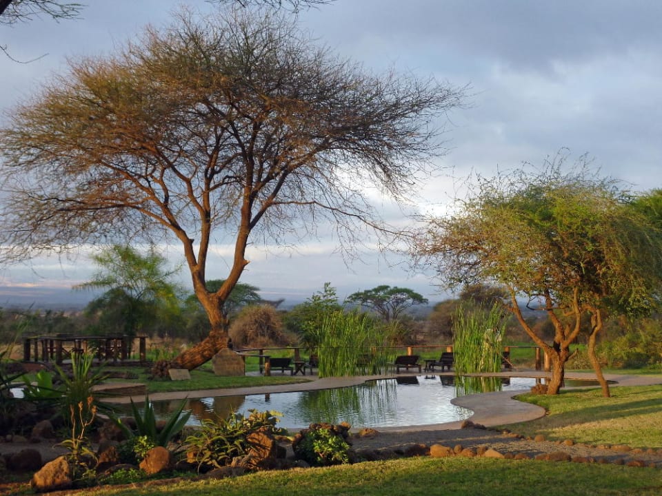 Der saubere und erfrischende Naturpool Tawi Lodge