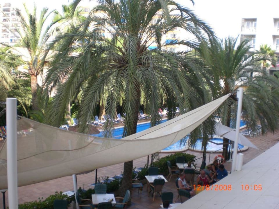 Pool Hotel Cosmopolitan