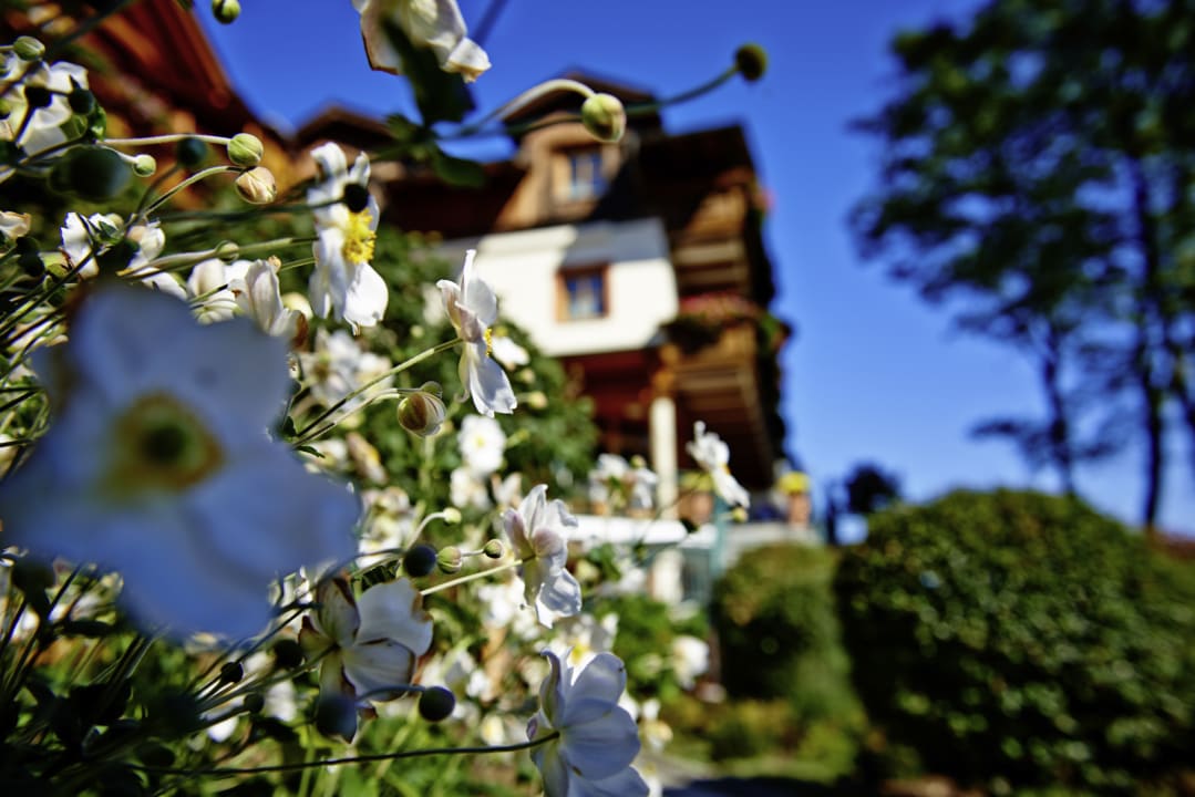 Außenansicht Hotel Bayerwaldhof