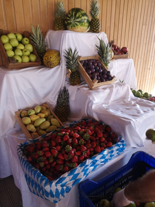 Gastro Side Royal Palace Hotel & Spa