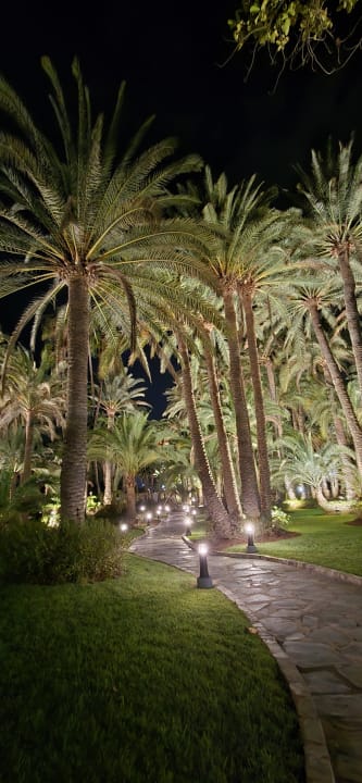Gartenanlage Hotel Riu Palace Oasis