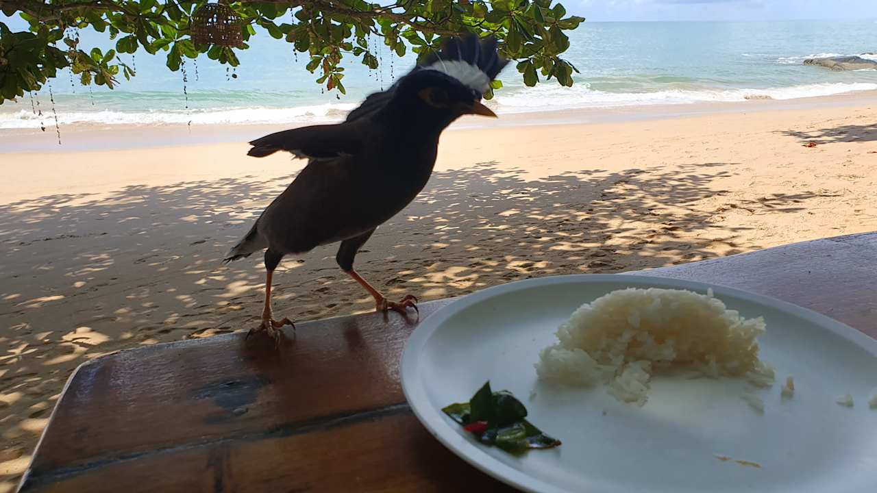 Strand Moracea by Khao Lak Resort