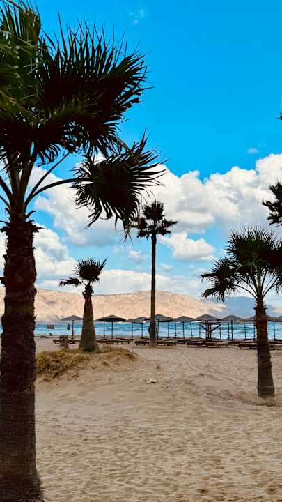 Strand Delfina Tropic Beach