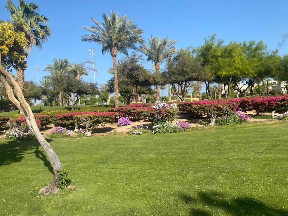 Strand Steigenberger Aqua Magic