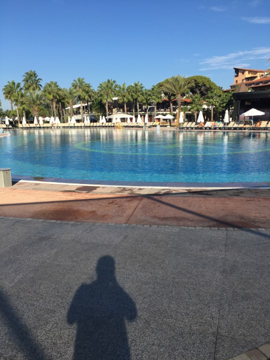 Pool Papillon Belvil