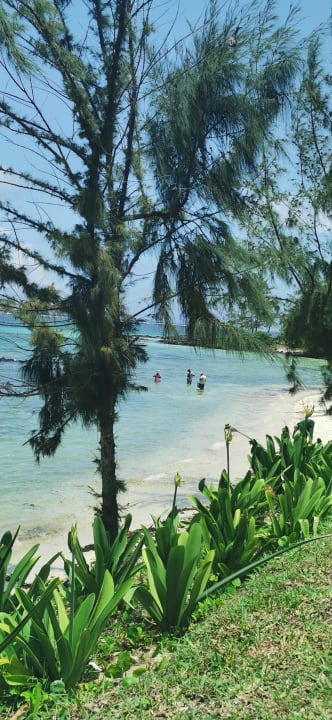 Pool Solana Beach Mauritius