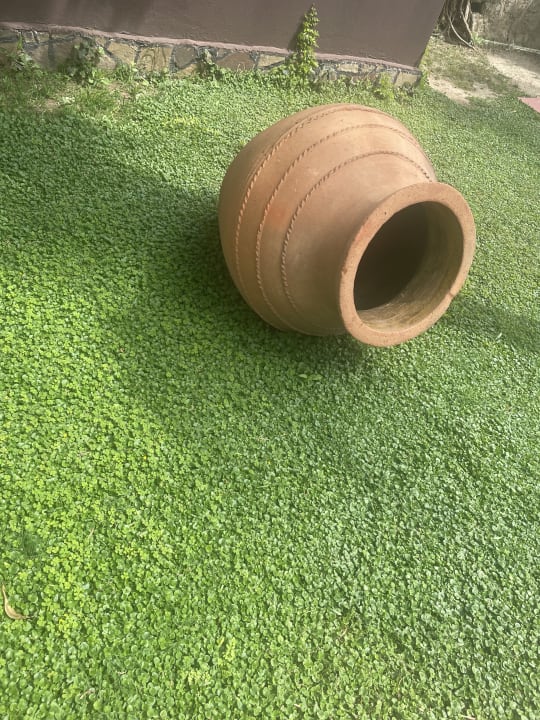 Gartenanlage Club Dizalya