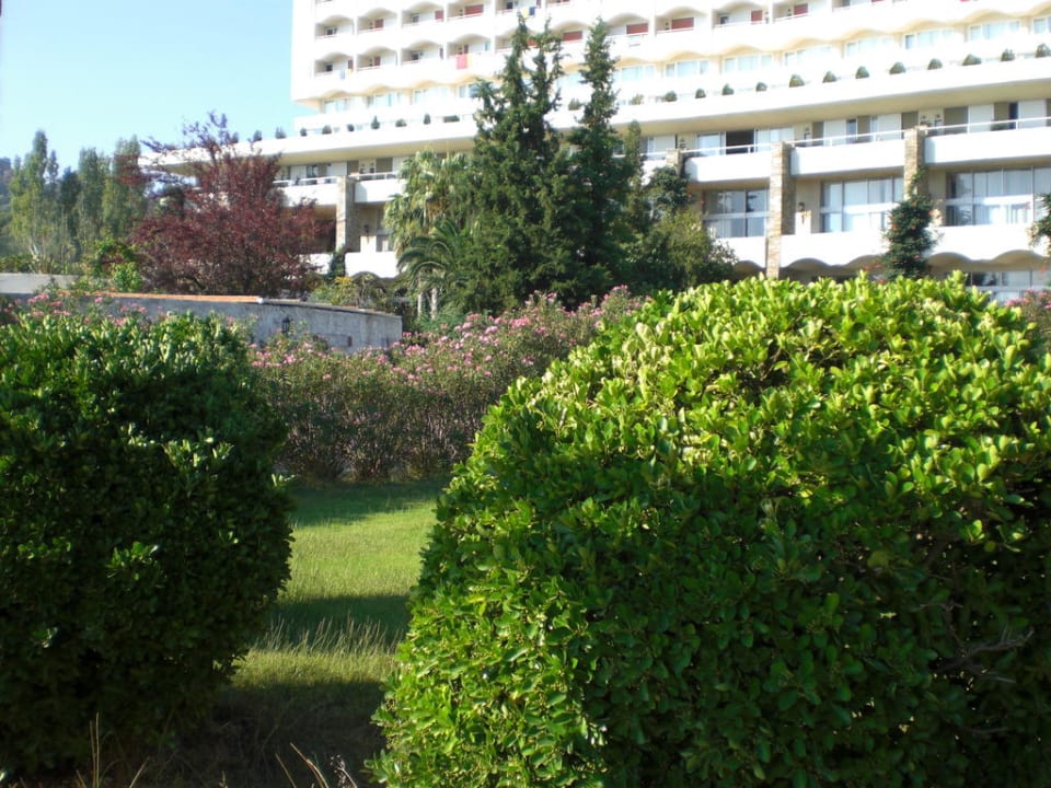 Garten mit Haus Hotel Athos Palace