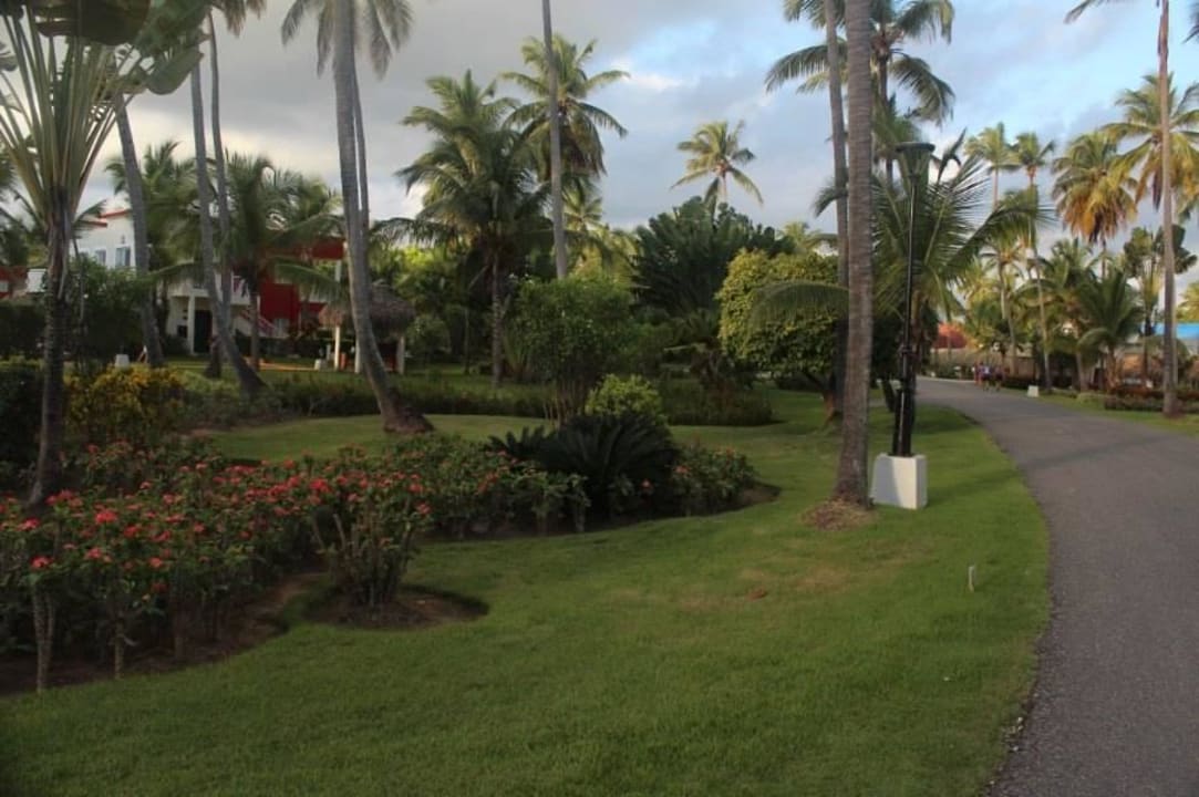 Resort TRS Turquesa Hotel - Adults only