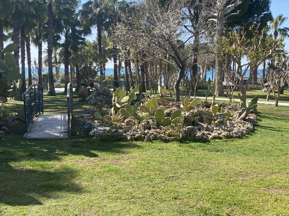 Gartenanlage Hotel Miramare Beach
