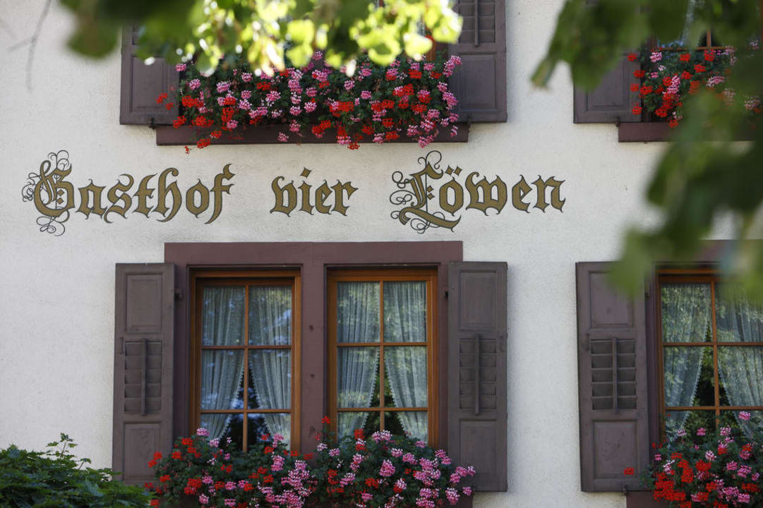 Herzlich Willkommen Vier Löwen