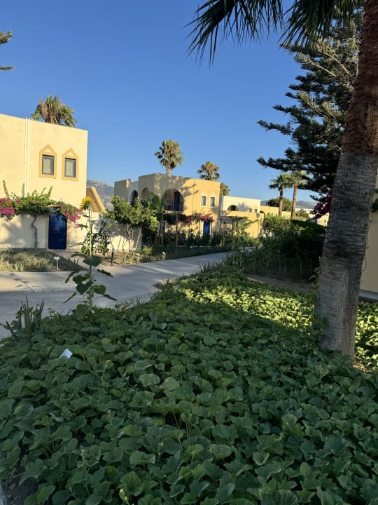Außenansicht Grecotel Casa Paradiso