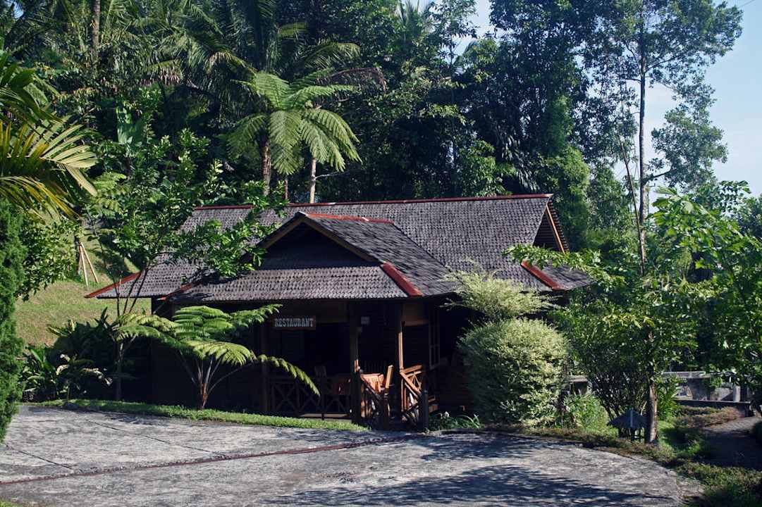 Restaurant-Bungalow mit Lesezimmer Minahasa Highland Resort & Spa