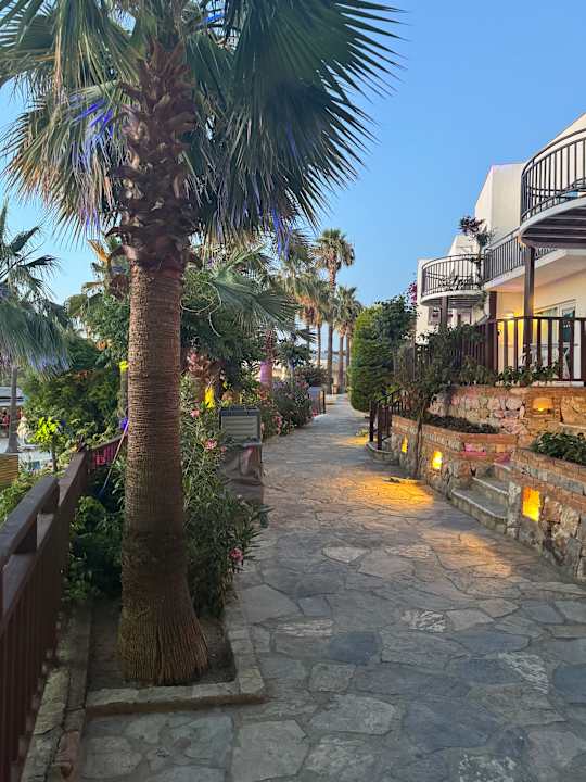 Gartenanlage Blue Dreams Resort & Spa