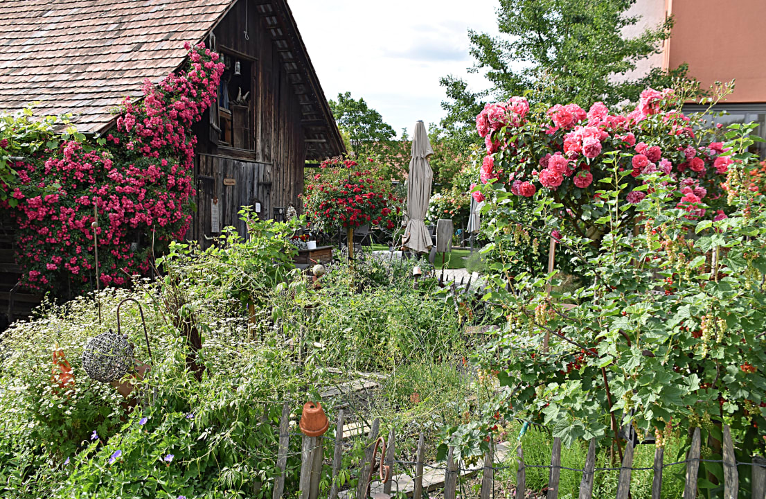 Gartenanlage Hotel Restaurant Mohren
