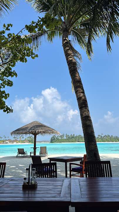 Gastro Sun Siyam Olhuveli