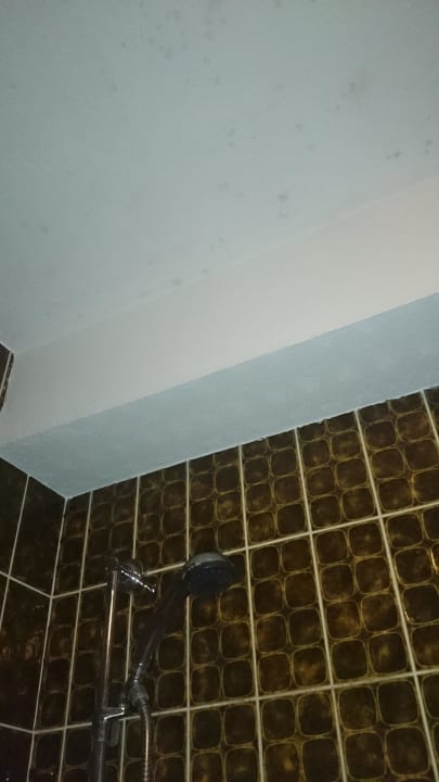 Schimmel Decke Bad Gasthof-Hotel Krone