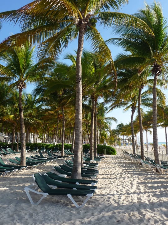 Strand Hotel Riu Lupita