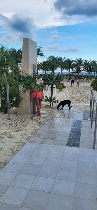 Strand Hotel Riu Latino - Adults Only