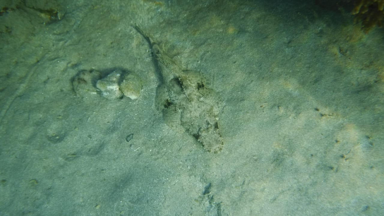 Sport & Freizeit Malikia Resort Abu Dabbab