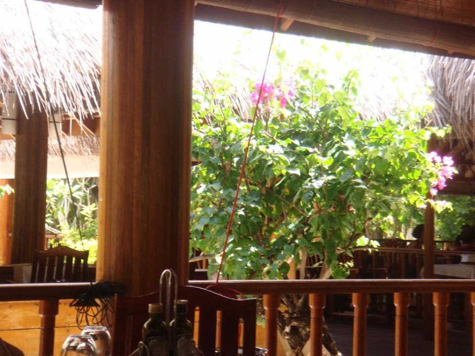 Im Restaurant Palm Beach Resort & Spa Maldives