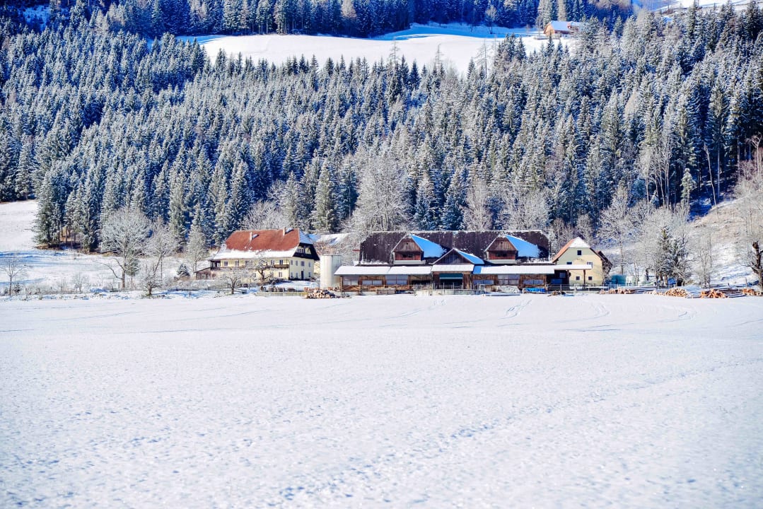 Außenansicht Ferienwohnungen Gullyhof