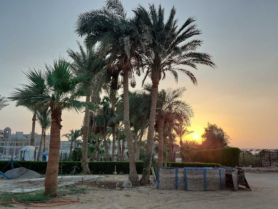 Strand Utopia Beach Club