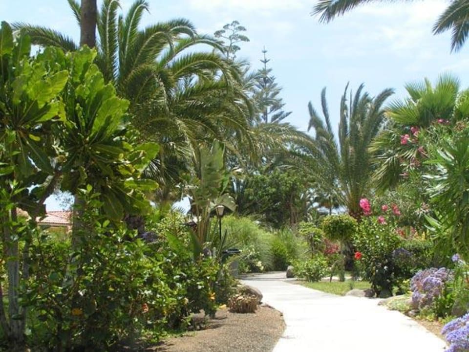 Garten Sun Club Playa del Ingles